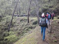 Auf dem Gialia Nature Trail bei Gialia, Zypern