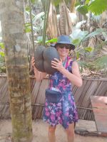 Coco de Mer, bis zu 20 kg - Kraftsport 