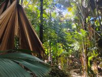 Vallée de Mai, Praslin 