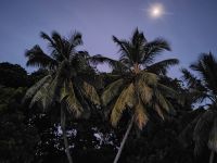 Mondschein auf Praslin 