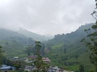 Die Umgebung von Tea BOH - in Cameron Highlands - Malaysia