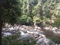 Kaskaden des Flußes - Taman Negara - Malaysia