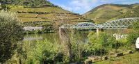 Brücke über den Douro in Pinhao