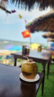 Frische Kokosnuss in der Strandbar