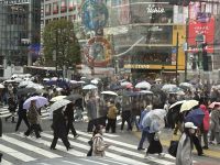 Tokio - Shibuya Kreuzung