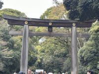 Tokio - Meiji-Schrein