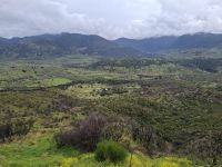 Landschaft um das Kloster Hosios Lukas bzw. Osios Loukas