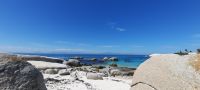 Südafrika - Simon`s Town - Boulders Beach