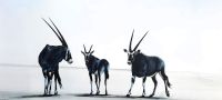 Südafrika - Galerie in Stellenbosch