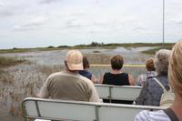 Propellerboot-Fahrt im Everglades-Nationalpark