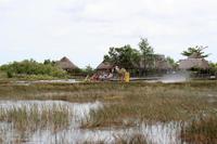 Propellerboot-Fahrt im Everglades-Nationalpark