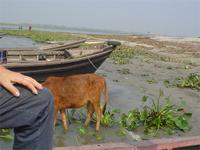 Andere Seite vom Meghna-Fluß