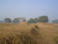 Erdwälle von Mahastangarh, Bangladesh
