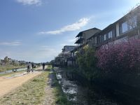 Kamo-Fluss Promenade Kyoto