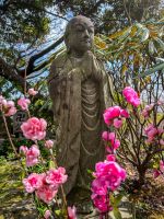 Buddha im Hasedera-Tempel