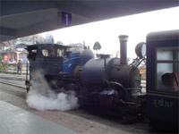 Lok der Darjeeling Bahn