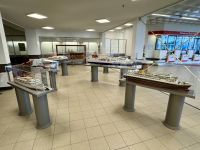 1. Tag: Fährterminal in Hoek van Holland