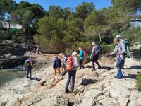 Trittsicherheit gefragt ?