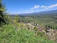 Mystras (Ruinen der byzantinischen Festungsstadt)