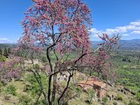 Mystras (Ruinen der byzantinischen Festungsstadt)
