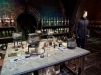 4. Tag: Ausflug in die Warner Bros. Studios – Snape im Klassenzimmer für Zaubertränke