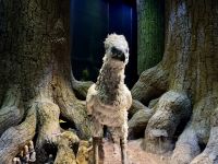 4. Tag: Ausflug in die Warner Bros. Studios – Seidenschnabel im Verbotenen Wald