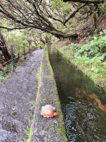Tag 2 Blick auf die Levada der 25 Quellen 