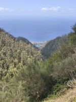 Tag 2 Panoramablick auf die Küste von Calheta 