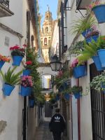 081-Cordoba Blumengasse