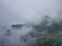 auf dem Weg von Phuentsholing nach Thimphu