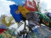 auf dem Weg von Phuentsholing nach Thimphu