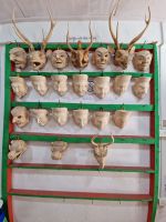 Besichtigung der Kunstakademie in Thimphu