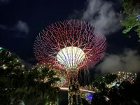 Abendspaziergang durch Singapur