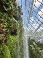 Cloudforest Singapur