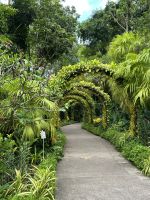Botanischer Garten Singapur
