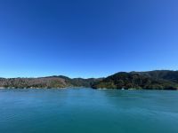 Fährüberfahrt nach Picton