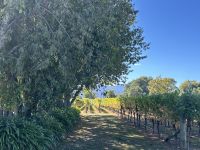 Fahrradtour durch die Weinberge