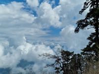 Auf dem Weg von Punakha nach Paro, am Dochula-Pass
