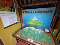 Besichtigung des National Museums in Paro