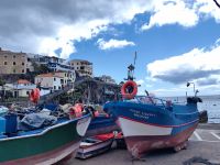 Im Hafen von Camara de Lobos