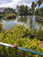 Tag 4 Blick auf den Catarina-Park in Funchal 