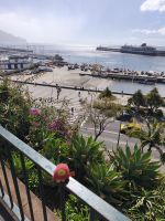 Tag 4 Blick auf den Hafen Funchal vom Catarina-Park 