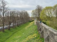 6. Tag: Nottingham bis Stockton – Stadtführung in York – Spaziergang auf der Stadtmauer