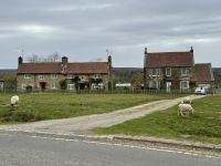 6. Tag: Nottingham bis Stockton – Zwischenstopp in Goathland – Wilde Tiere