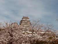 Himeji - Burg des weißen Reihers