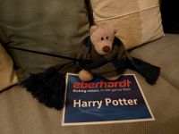 8. Tag: Wieder zu Hause – Max ist nun großer Harry-Potter-Fan