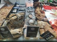 Trend-Metropole Melbourne, Queen Victoria Market