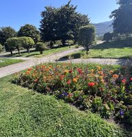 Single-Reise Südfrankreich - Nizza City Tour Cimiez