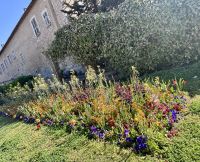 Single-Reise Südfrankreich - Nizza City Tour Cimiez