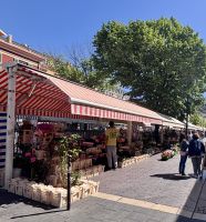 Single-Reise Südfrankreich - Nizza City Tour Blumenmarkt 